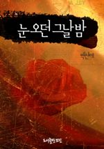 눈 오던 그날 밤