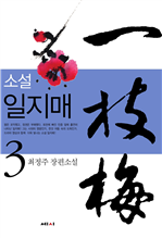 일지매 3 (완결)