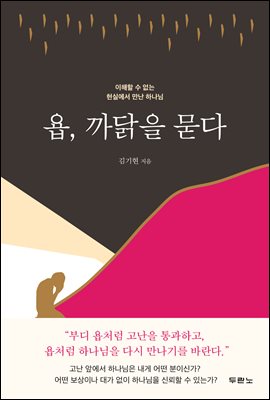 욥, 까닭을 묻다 : 이해할 수 없는 현실에서 만난 하나님