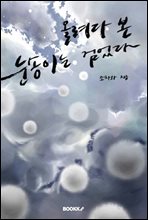 올려다 본 눈송이는 검었다(개정판)