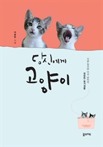 당신에게 고양이